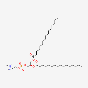1,2-Dipalmitoyl-sn-glycero-3-phosphocholin丨CAS 63-89-8